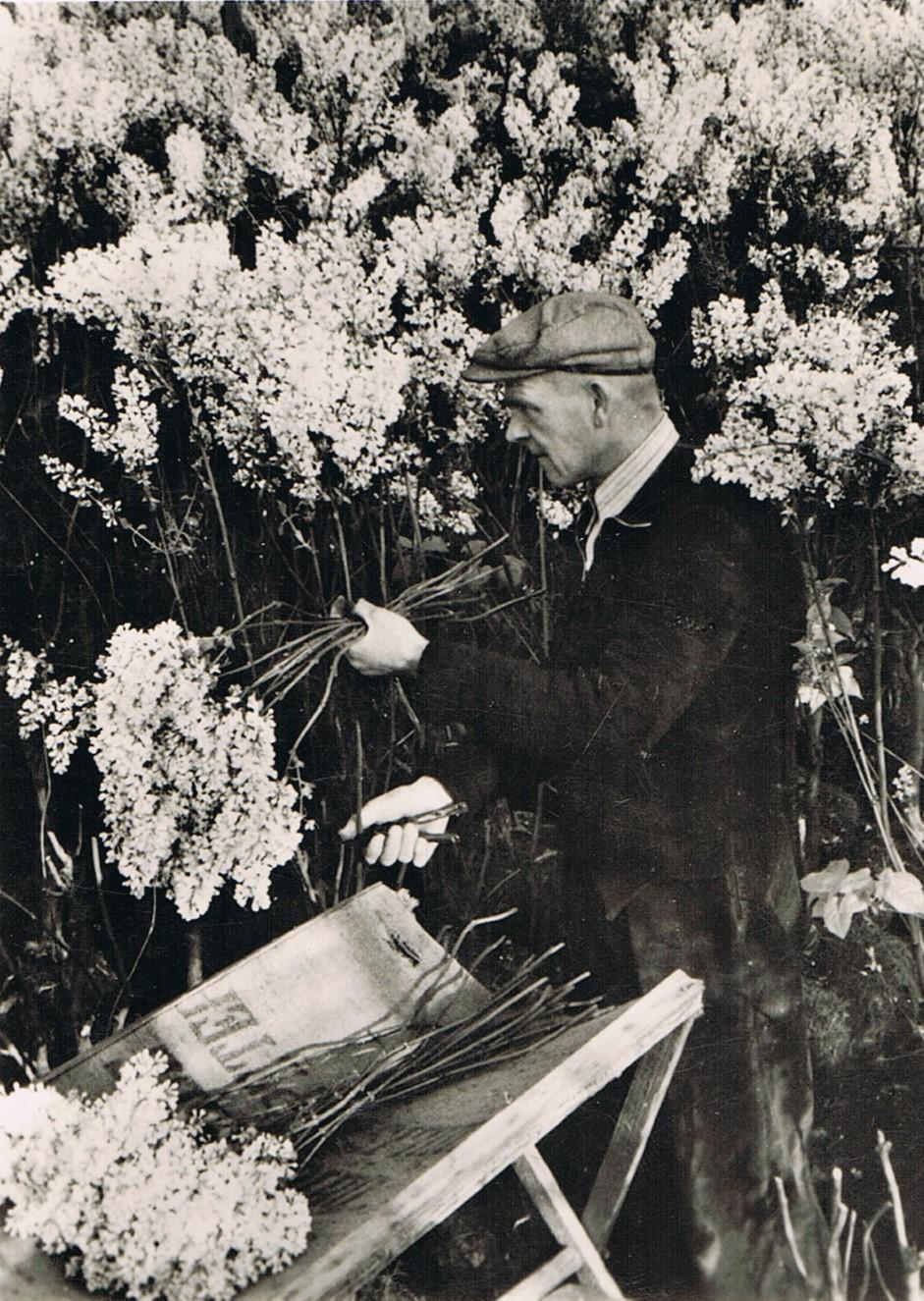 De Bijenstal op de Historische Tuin Aalsmeer