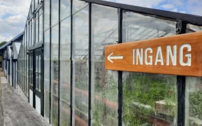 Gevraagd: kassavrijwilligers