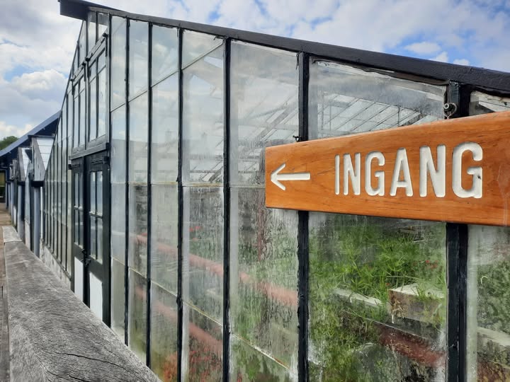 Gevraagd: kassavrijwilligers