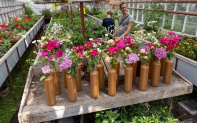 Aalsmeer Flower Festival 2025