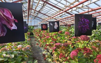 Kunstroute Aalsmeer op de Tuin