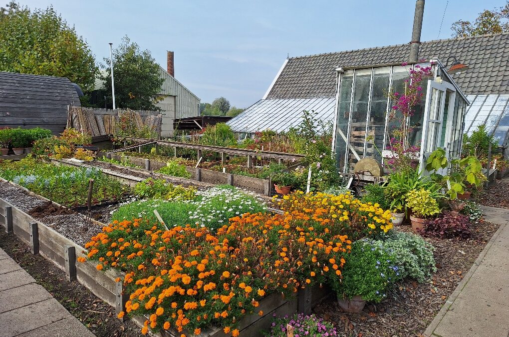 Eindejaarsactiviteiten Historische Tuin