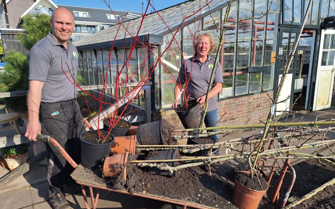 Verkoopdag voorjaar op zaterdag 21 maart